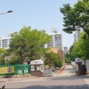 마재초병설유치원 네이버블로그
