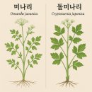 씨스페이스24 방아실점 | 心醉 療飢