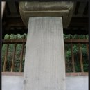 충신의사단비 이미지