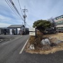 상아농장 | [충주 여행] 충주 일주일살기 8편 - 파파이팜에서 피자, 치즈빵 만들기 체험