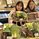 포항축산업협동조합 이미지