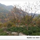 대봉약수터 이미지