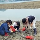 별나로마을 이미지