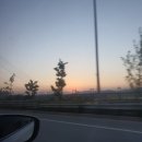 6월 첫째주 주말일기 (신정호, 밤소리글램핑, 업성저수지 카페 CABANA)