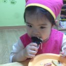 유정꼬마김밥