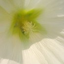 한강시민공원(자연학습장) 이미지