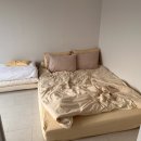 사라보래 이미지