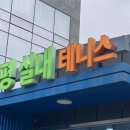 에스에이치테니스보평점 이미지