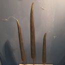 트렌드크래프트 이미지