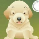 강아지와 나 이미지