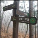 아미산35초소경계공중화장실 | 청광종주(강남5산 : 청계산-우담산-바라산-백운산-광교산) 산행