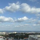 하귀안경 | 🍊🌼_제주도 Day 2