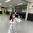 아이별 아이스타 태권도 이미지