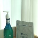 임산부 홈스파 제품 강추 - 기프티스트 바하솔트 스파워시 약산성 올인원 바디워시 / 버블배쓰