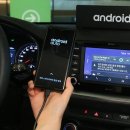 대신오토 이미지