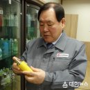 엠앤피 이미지