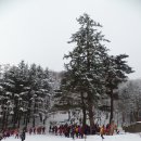 밀레군산영동점