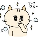 헤어그레 이미지