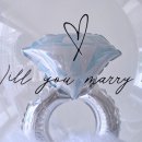 네버 엔딩 웨이브 이미지