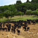 마루목장 이미지