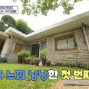 나무가있는마당