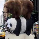 맹덕 이미지