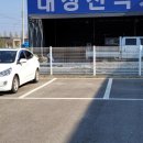 파주애견미용센터 이미지