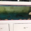 문성고 맞은편 이미지