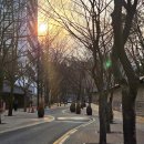 광화문 와인바 파스타 맛집 오드하우스 추천 메뉴