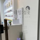 네일:설꽃