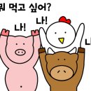 용이네축산 - 강남구 일원로5길 51 | 용이네축산