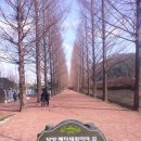 담양라라345 | 담양 여행