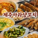 제주도 양꼬치 맛집추천! 중국현지 감성가득한 마라양꼬치 솔직후기