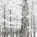 하이원민박 이미지