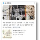 롯데캐슬당구장 | 배 타고 후쿠오카 가기 전 부산여행