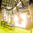 한정축산 이미지