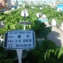 서울금옥초등학교 이미지