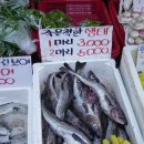 인생스토리