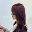 오비오(OBO)
