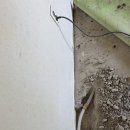 세원연수아파트 이미지