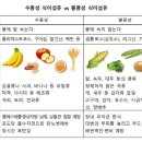 (자연의 법칙에 순응하는 생활) 58. 식이섬유 이미지