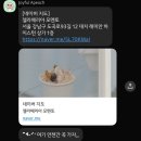 젤라떼리아모멘토
