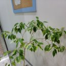 유성초등입시학원 이미지