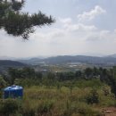 솔티농원 이미지