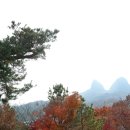성암농산