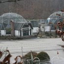 원창5리 이미지