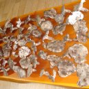 ﻿굽더더기버섯[흰굴뚝버섯] 효능과 요리법 [굽더더기버섯 판매중]능이버섯 사촌 이미지
