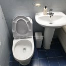 목화(2차) 이미지