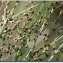 하늘지기 이미지