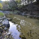 가평물골숲계곡캠핑장 이미지